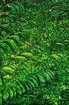 Where To Buy Art in Austin Texas?